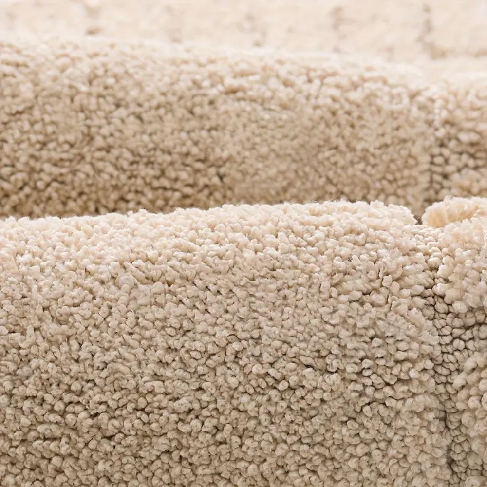 Close-up of beige carpet texture