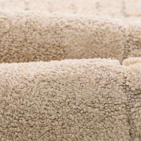 Close-up of beige carpet texture